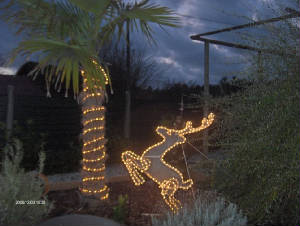 maisonnoel.jpg