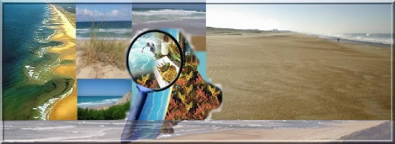 montageplage.jpg
