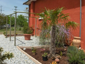 terrasse4jpg.jpg